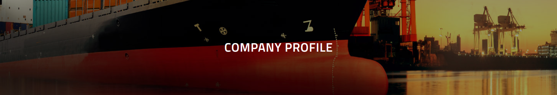 Company Profile